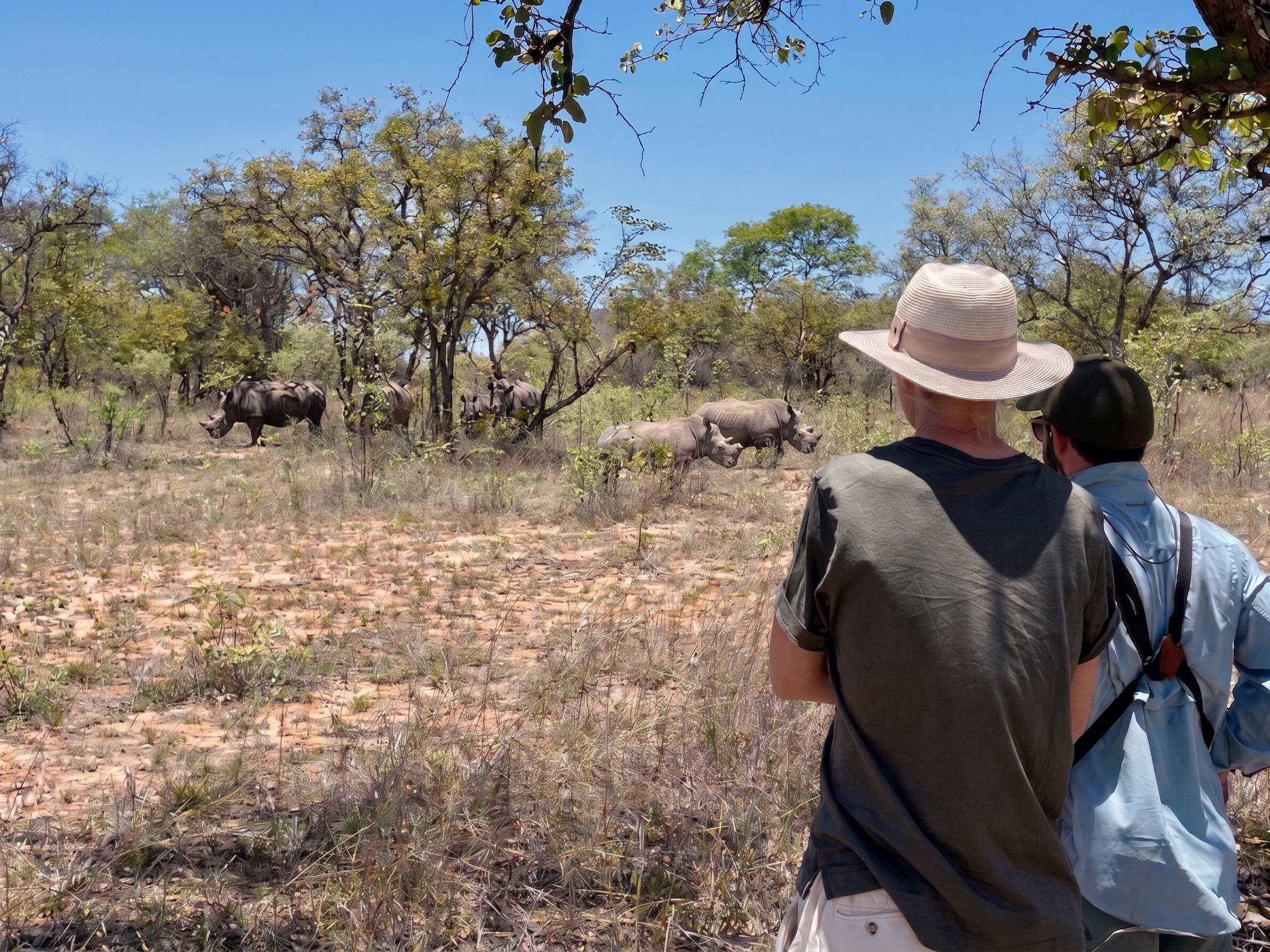 Guests on a Rhino Walk in Kyle Recreational Park